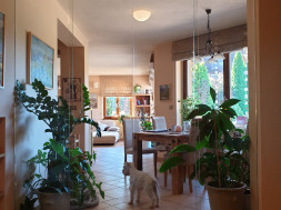 Sklenené steny - 70